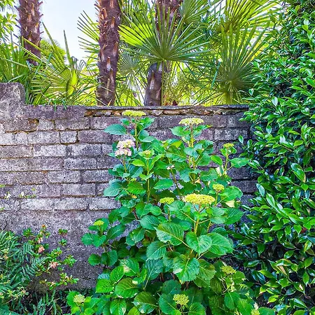 Casa Tranquilla Holiday home Cannobio